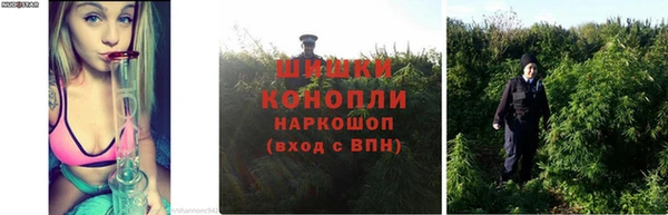 кокаин премиум Белокуриха