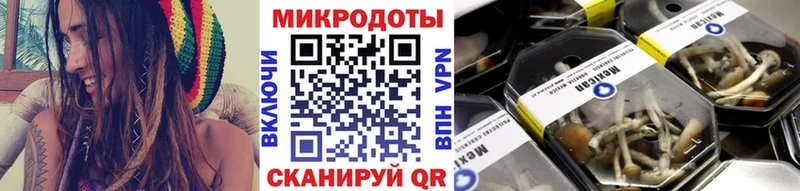 где найти наркотики Бузулук МЕГА вход это телеграм Псилоцибиновые грибы Psilocybine cubensis