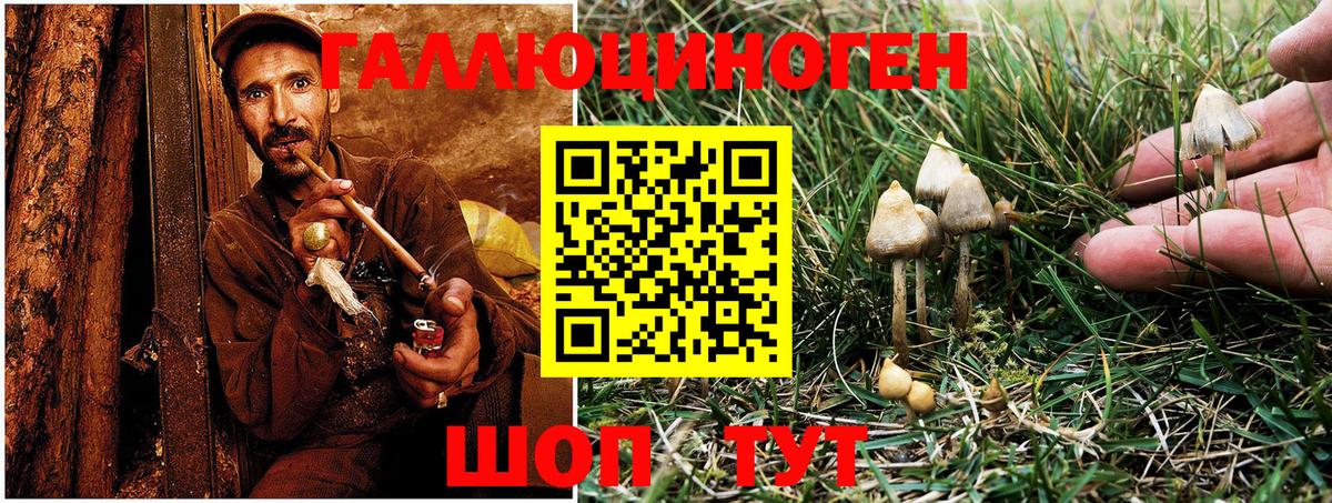 Бузулук  Псилоцибиновые грибы GOLDEN TEACHER  Вход с VPN 
