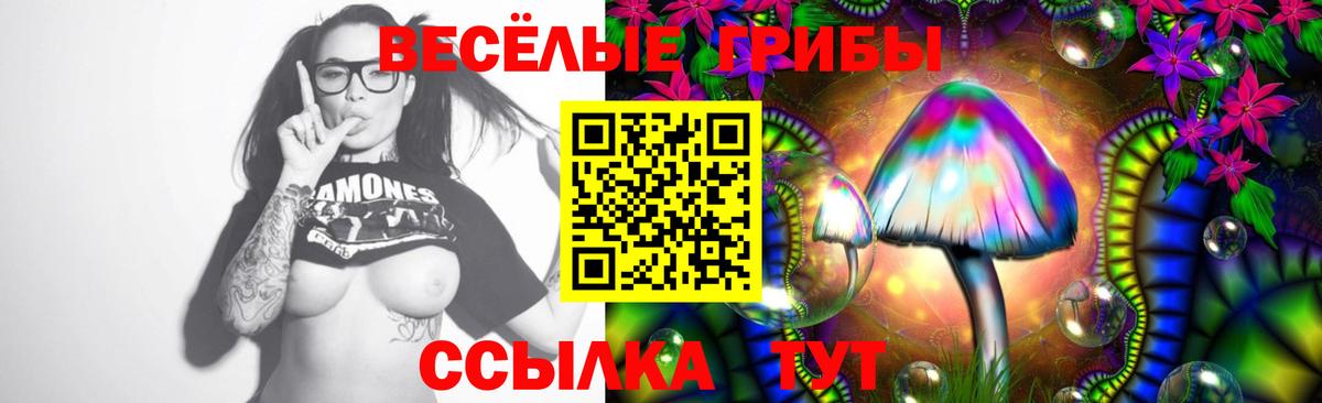 Галлюциногенные грибы GOLDEN TEACHER Бузулук