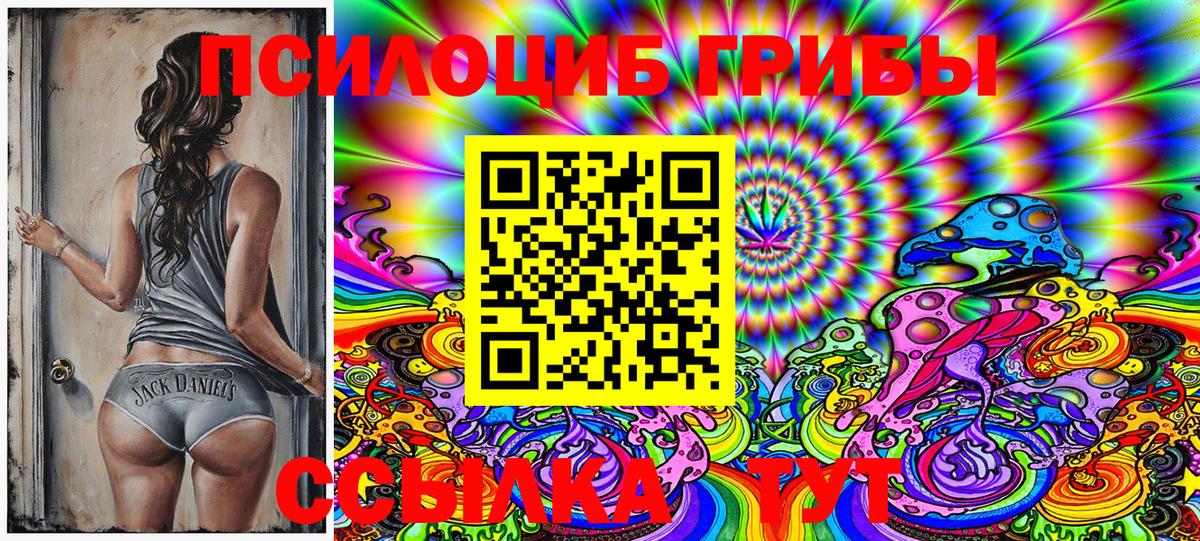 Галлюциногенные грибы GOLDEN TEACHER  купить   Бузулук 