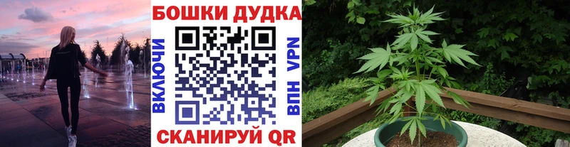 закладки  Бузулук  Канабис гибрид 